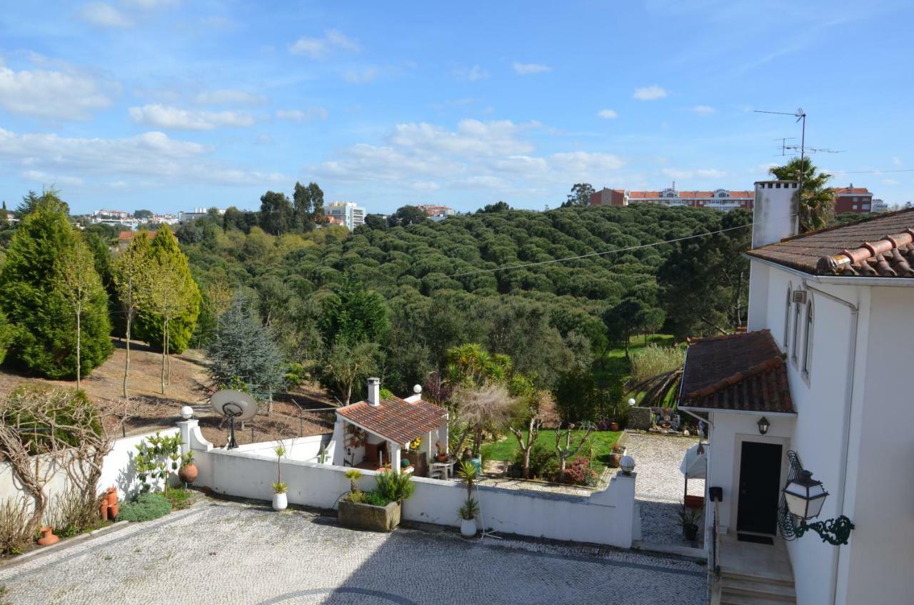 Casa Da Palmeira 莱里亚 外观 照片