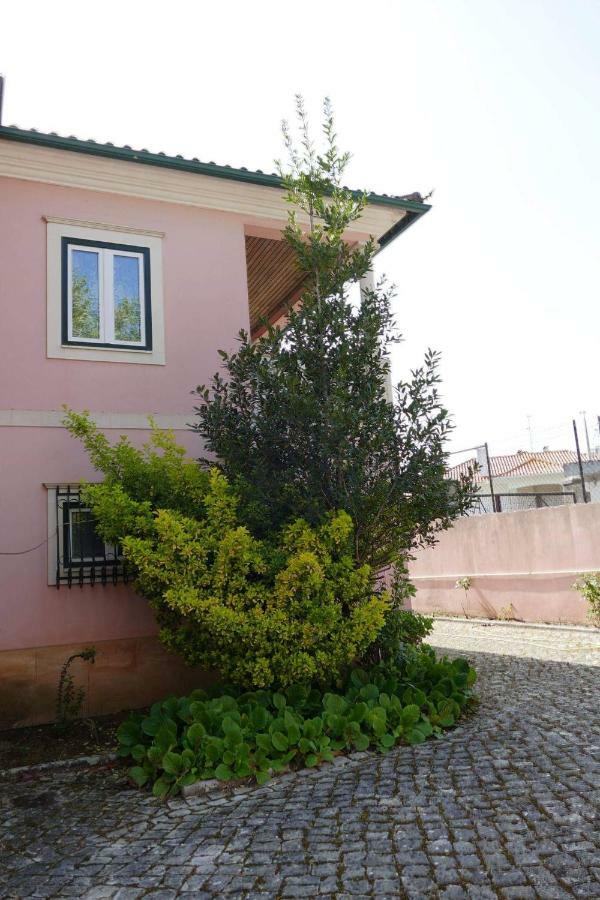 Casa Da Palmeira 莱里亚 外观 照片